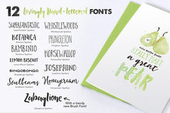1600 Fonts only $50